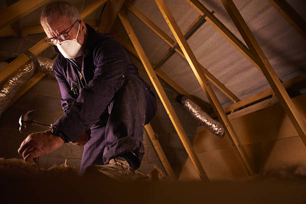 Best Insulation for Specific Applications in Lexington, KY
